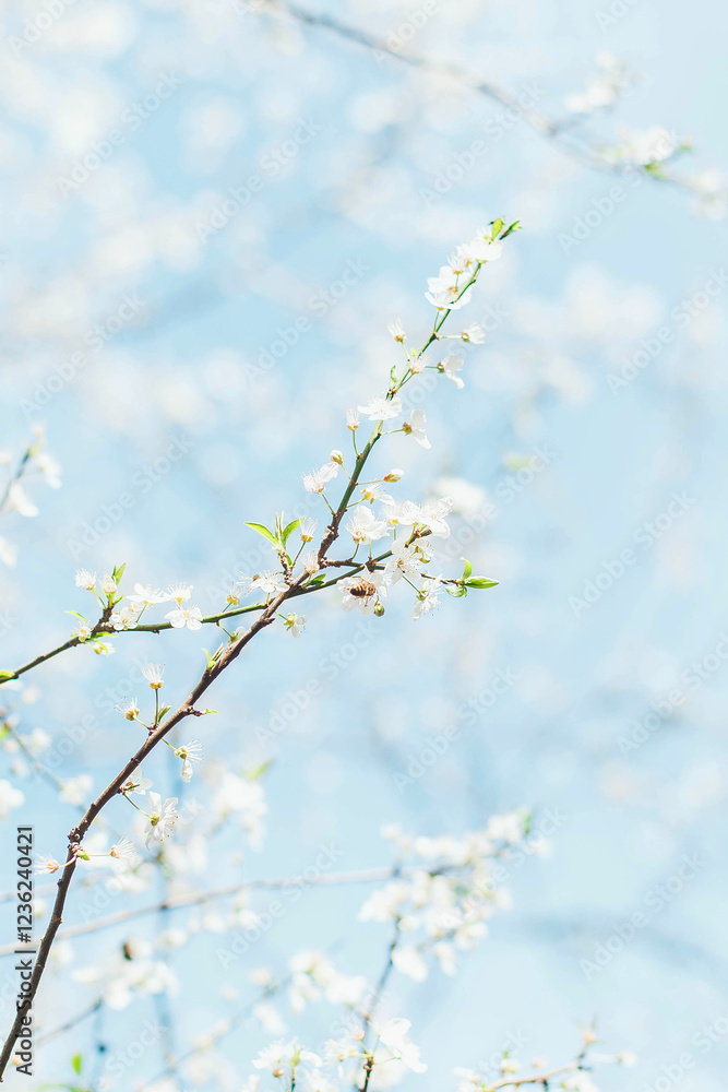 Spring blossom on a thin branch against a soft blue sky, symbolizing renewal and purity. Sunlight enhances delicate white petals and fresh green leaves, creating a dreamy atmosphere, vertical photo Spring blossom on a thin branch against a soft blue sky, symbolizing renewal and purity. Sunlight enhances delicate white petals and fresh green leaves, creating a dreamy atmosphere, vertical photo