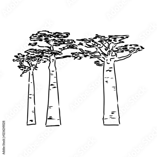 savanna tree, vector sketch
