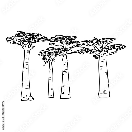 savanna tree, vector sketch