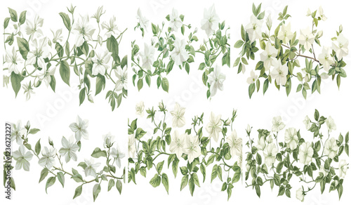 Jasmine flowers with green vines, soft white blooms, elegant engraving style with fine details, vintage botanical illustration, antique floral design, delicate botanical art, timeless floral pattern