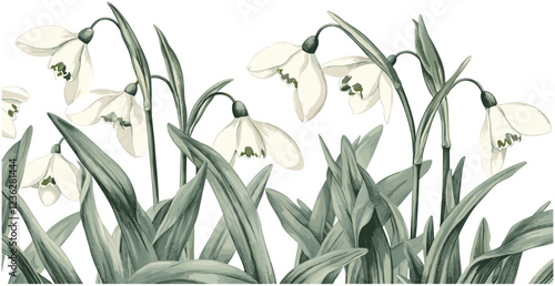 Vintage engraving style 1920s Snowdrop, delicate white flowers, green foliage, elegant floral design, antique floral illustration, botanical art, historical flower drawing, nature print