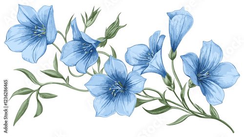 Vintage engraving style, 1940s Bellflower, fine details, blue flowers, green stems, delicate floral design, antique botanical print, historical floral art