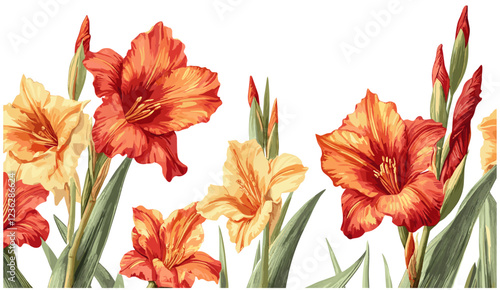 Gladiolus 1940s vintage engraving, rich red orange flowers, tall green stems, aged background