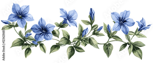 Green foliage with bright blue blooms in 1940s Lobelia, sketchy engraving style, fine details, botanical illustration, vintage flowers, floral line art, detailed plant drawing, nature sketch.