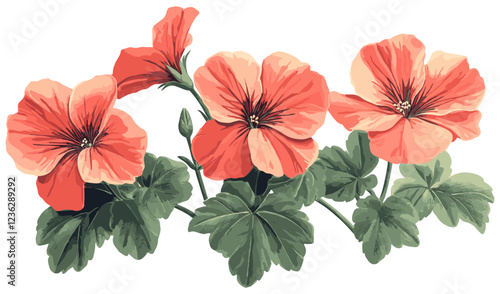 1950s geranium, textured red blooms, vibrant green leaves, vintage engraving design, retro floral decor, mid-century style, floral inspiration, classic home accents, timeless design