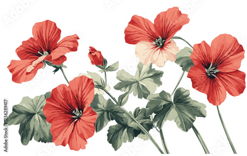 Vintage 1950s geranium, textured red blooms, green leaves, retro engraved floral design, vibrant mid-century decor, timeless plant style, era-inspired florals, classic home accents