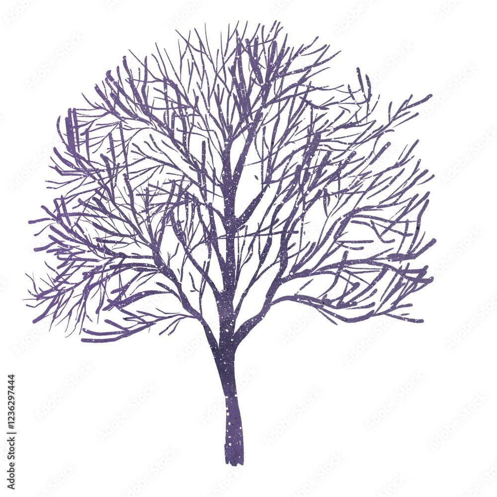 Obraz premium Spreading Tree Without Leaves, Bare Trunk, Winter Nature, Watercolor Illustration, Isolated Element On A White Background