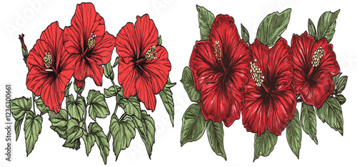 Beautiful 2015 Hibiscus flowers in bright red and dark green leaves, intricately captured in a detailed sketchy engraving style