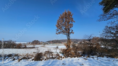 Wallpaper Mural river in winter Torontodigital.ca