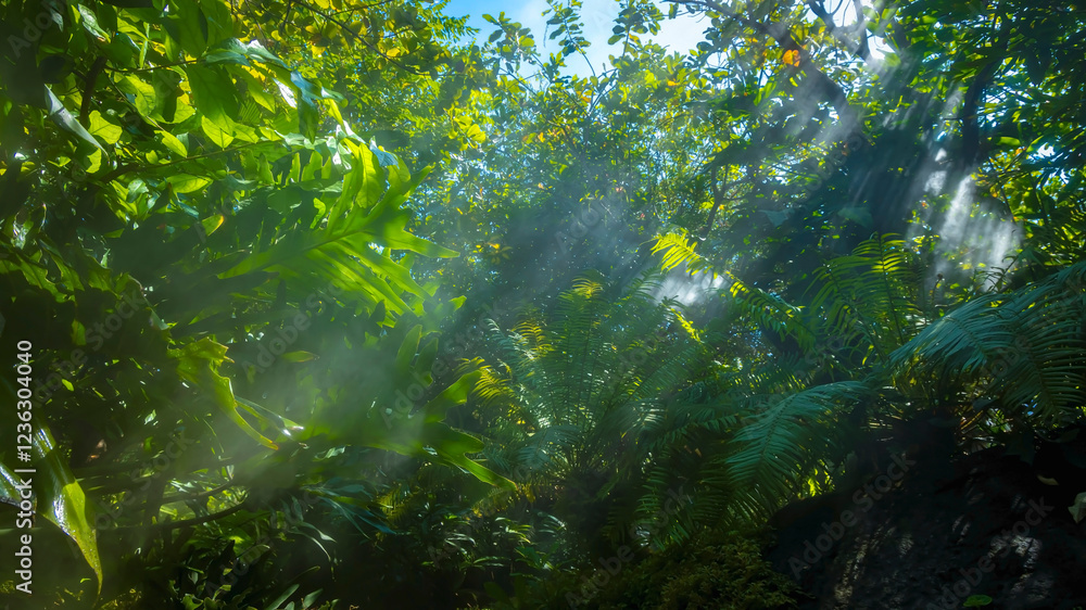 The Tropical jungle with river and sun beam and foggy in the garden. The Tropical jungle with river and sun beam and foggy in the garden.