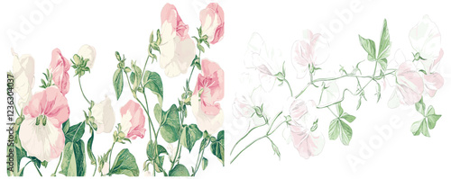 2035 Sweet Pea, featuring gentle pastel pink and white blooms, with intricate green leaves in an elegant engraving style