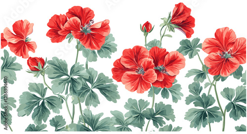 2040s Geranium featuring vibrant red flowers, green leaves, and a classic engraving style, creating an elegant and sophisticated appearance