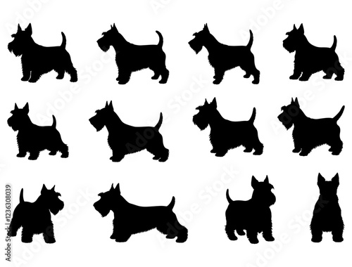 SCOTTISH TERRIER DOG SILHOUETTE ON WHITE BACKGROUND