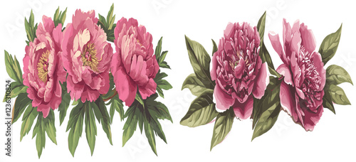 Rich pink 2080s Peony with lush green leaves and soft shadow effects, perfectly illustrated in a vintage engraving style photo