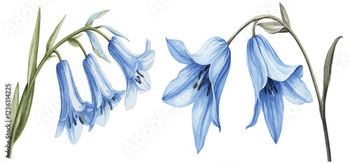 Soft blue petals of a vintage bluebell flower, an exquisite antique botanical drawing that adds winter elegance and vintage charm to any setting