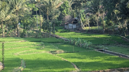 Indonesien, Landleben