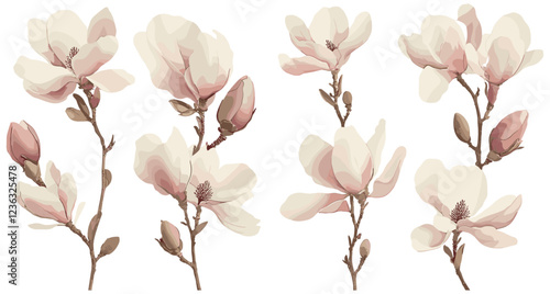 Elegant vintage botanical print of magnolia flowers in soft cream and pink tones, an antique masterpiece capturing the essence of nature's beauty.