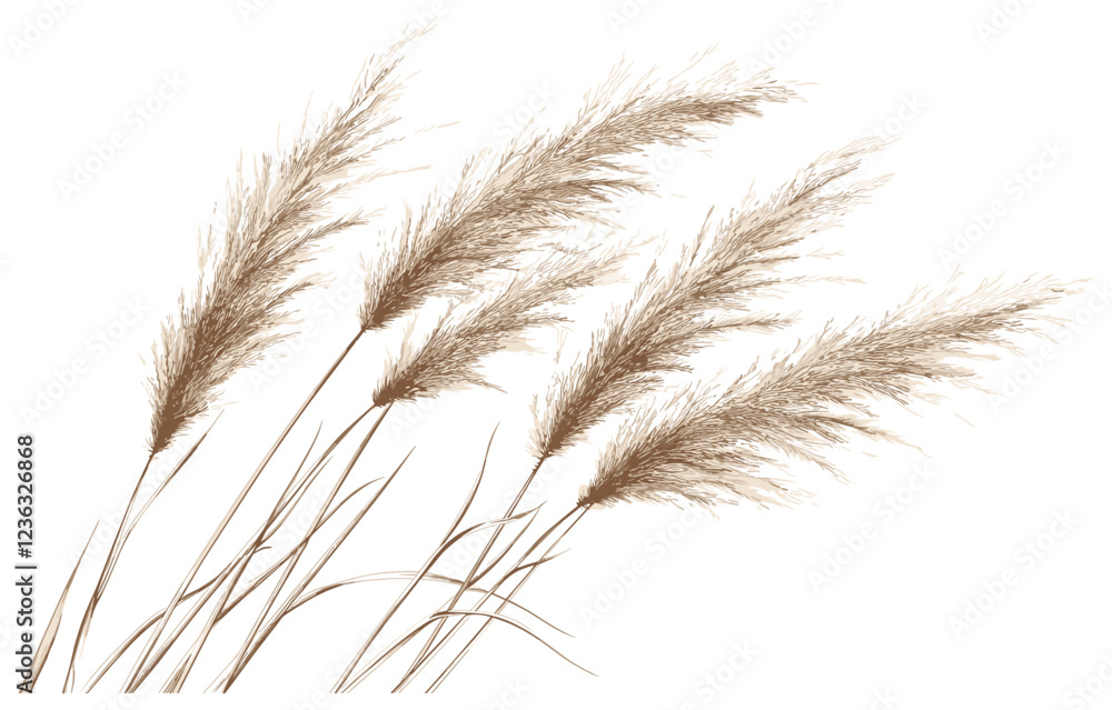 Elegant Antique Botanical Illustration of Pampas Grass in Soft Sepia Tones, Perfect for Vintage-Inspired Home Decor and Nostalgic Interior Design Elegant Antique Botanical Illustration of Pampas Grass in Soft Sepia Tones, Perfect for Vintage-Inspired Home Decor and Nostalgic Interior Design