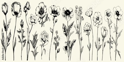 Obraz na plátne Vintage floral collection featuring detailed botanical flowers, ideal for luxurious wedding invitations, save the date cards, and stunning wallpaper art that adds an elegant touch to any space