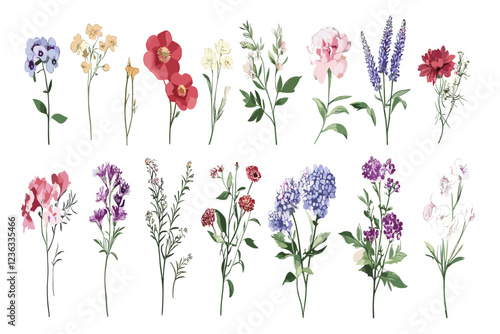 Floral decorations and vibrant botanical illustrations, hand-drawn floristic flowers and plants in vintage style.