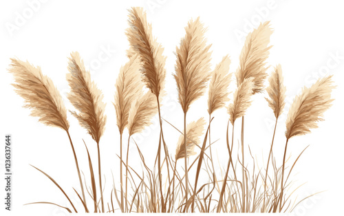 Vintage Boho Style Illustration Featuring Dried Pampas Grass, Nature-Inspired Home Decor, Boho Art with Pampas Grass for Stylish and Cozy Living Spaces