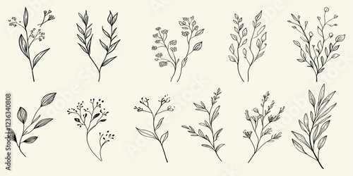 Hand drawn wedding herb, botanical rustic design with elegant leaves, floral branch, homeplant for save the date invitation card.