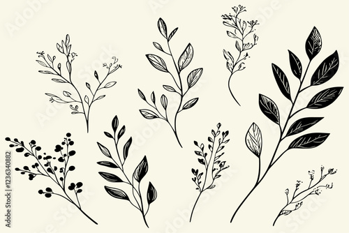 Hand-drawn wedding herb featuring floral branches of silver dollar, baby blue, blue gum, seeded eucalyptus, all intertwined with elegant, graceful leaves for a beautifully refined decoration.