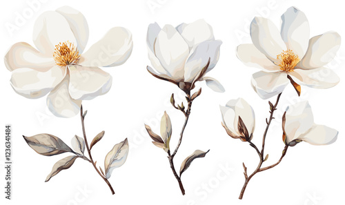 Watercolor floral illustration of white magnolia flowers, hand-drawn for greeting cards, invitations, and print designs, isolated on white.