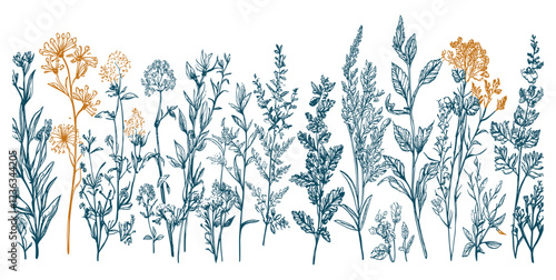 Hand-drawn botanical illustrations, floral elements, swirls, branches, flowers, leaves for wedding invitations, greeting cards, frames, quotes, and blogs