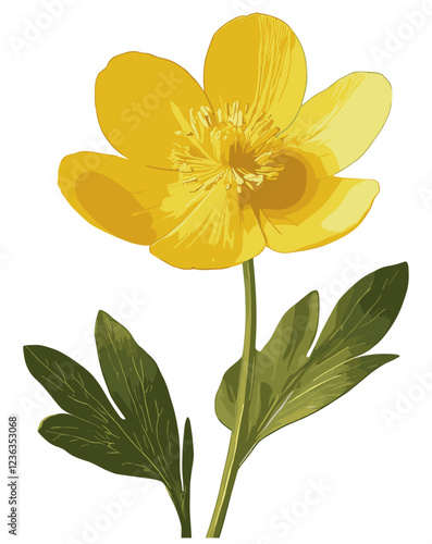 Botanical art of a buttercup flower, presented in soft yellow hues with intricate leaf details, showcasing vintage floral illustration techniques that bring nature’s beauty into timeless focus.