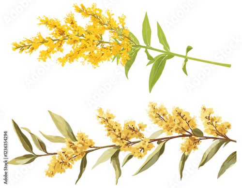 Vintage botanical illustration of a goldenrod flower in soft yellow, creating a cheerful ambiance for holiday themes and festive decor.
