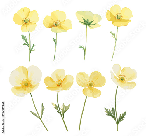 Botanical Print of Old Buttercup Flower in Soft Pastel Yellow and Green, Vintage Floral Decor, Ideal for Bringing Nature and Tranquil Beauty into Your Living Space with Subtle Elegance.