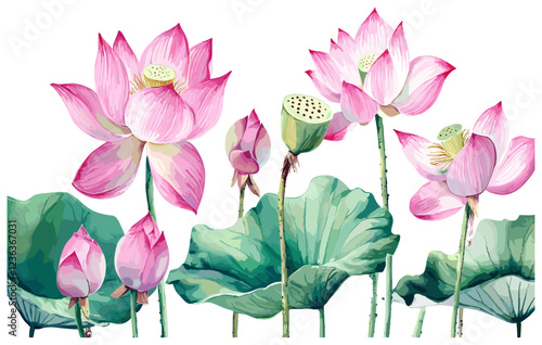 Graceful watercolor illustration with a pink lotus border, intricately framed by botanical details and a lush floral design