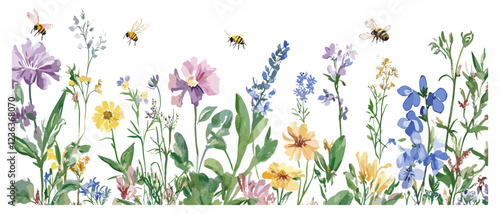 Watercolor Drawing of Wildflowers, Medicinal Herbs, Leaves, Bees, and a Seamless Rim Border on White Background.