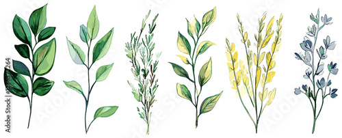 Watercolor hand-drawn elements of herbs, twigs, and spikelets, each isolated and presented with detailed ink drawings that bring out the natural beauty and intricate details of these botanical pieces.