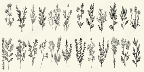 Botanical collection of isolated medical and healing plants, hand-drawn with delicate contours to emphasize their therapeutic qualities in a comprehensive design