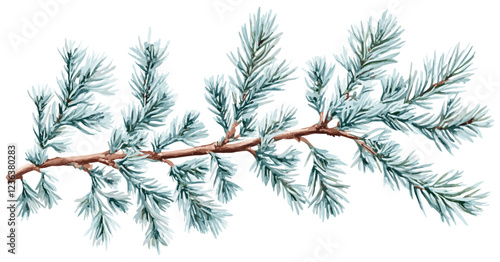 Vintage botanical art of cedar tree branch with blue-green needles, a great choice to complement your seasonal home decor