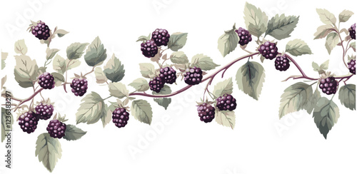 Antique fruit decor, vintage botanical illustration of blackberry vine with ripe blackberries and soft green leaves, natural tones