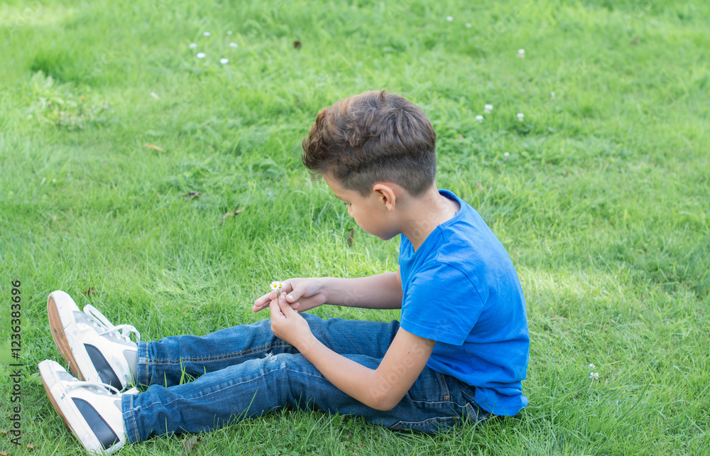 Young boy wearing casual blue t shirt sitting on verdant grass, playfully twirling daisy flower while enjoying bright summer sunlight in open park setting, Young boy wearing casual blue t shirt sitting on verdant grass, playfully twirling daisy flower while enjoying bright summer sunlight in open park setting,