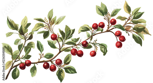Cranberry bush vintage botanical illustration with soft red berries, green leaves, and antique fruit decor in natural colors, perfect for bringing nature’s beauty into your home decor collection.