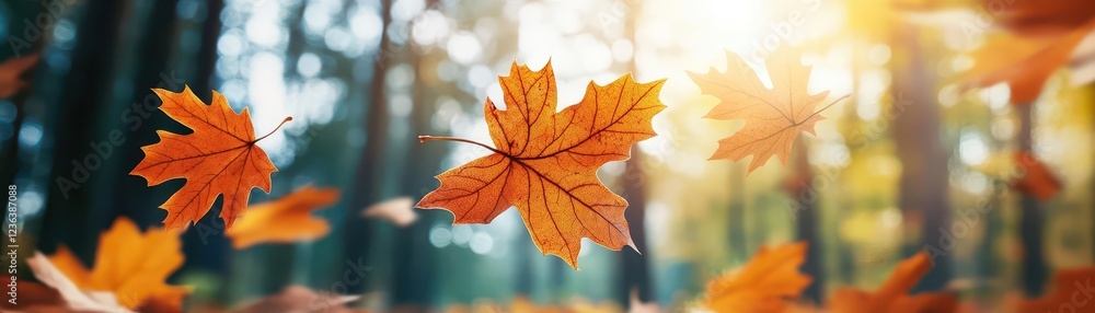 Vibrant Autumn Leaves Blanketing the Forest Floor Creating a Colorful Tapestry of Nature with Warm Hues in a Tranquil Woodland Setting Vibrant Autumn Leaves Blanketing the Forest Floor Creating a Colorful Tapestry of Nature with Warm Hues in a Tranquil Woodland Setting