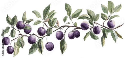 Vintage fruit decor showcasing a plum tree branch with ripe purple plums, green leaves, and soft pastel tones, perfect for botanical illustration enthusiasts.