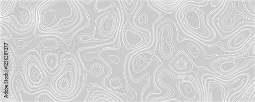 Ultra-Detailed and Realistic Topography Vector Featuring Natural Elevation Patterns and Depth

