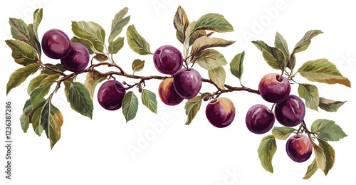 A vintage botanical illustration of a plum tree branch adorned with ripe purple plums and soft pastel green leaves, offering a unique touch to fruit-themed decor.