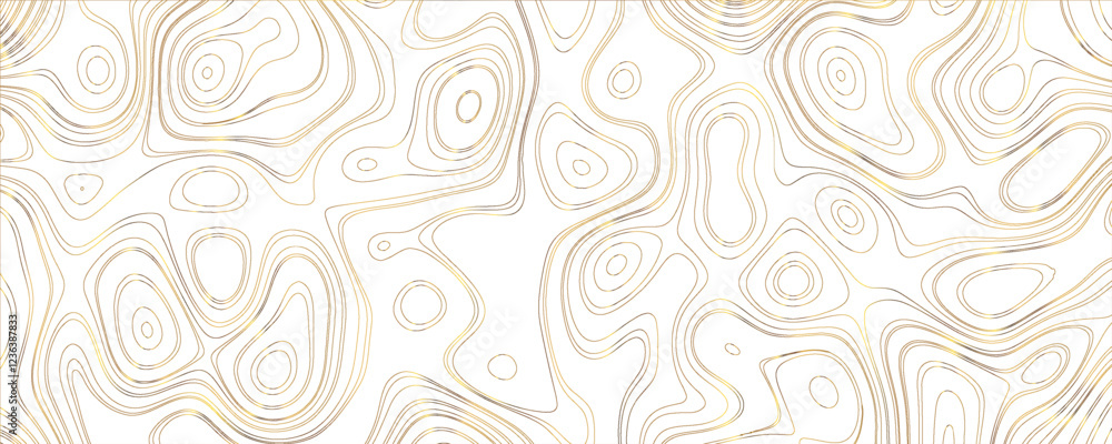 Fototapeta premium Highly Textured and Artistic Topographic Vector with Layered Contours and Engraved Precision