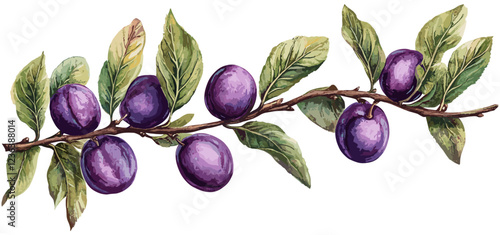 Vintage fruit decor capturing the beauty of ripe purple plums on a plum tree branch, accented with green leaves and soft pastel hues in a botanical illustration style.