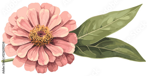A soft pink zinnia flower captured in a vintage botanical illustration, perfect for brightening up cheerful holiday decor with natural beauty and timeless appeal.
