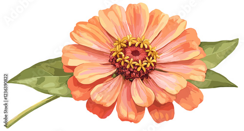 Soft pink and orange vintage zinnia flower illustration, perfect for enhancing your winter decor with a botanical touch that brings warmth and charm to any room.