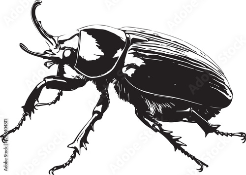 Set of beetles. Hand drawn vector illustration