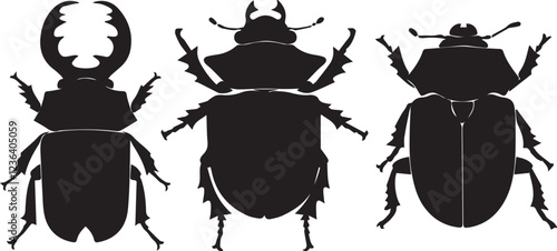 Set of beetles. Hand drawn vector illustration